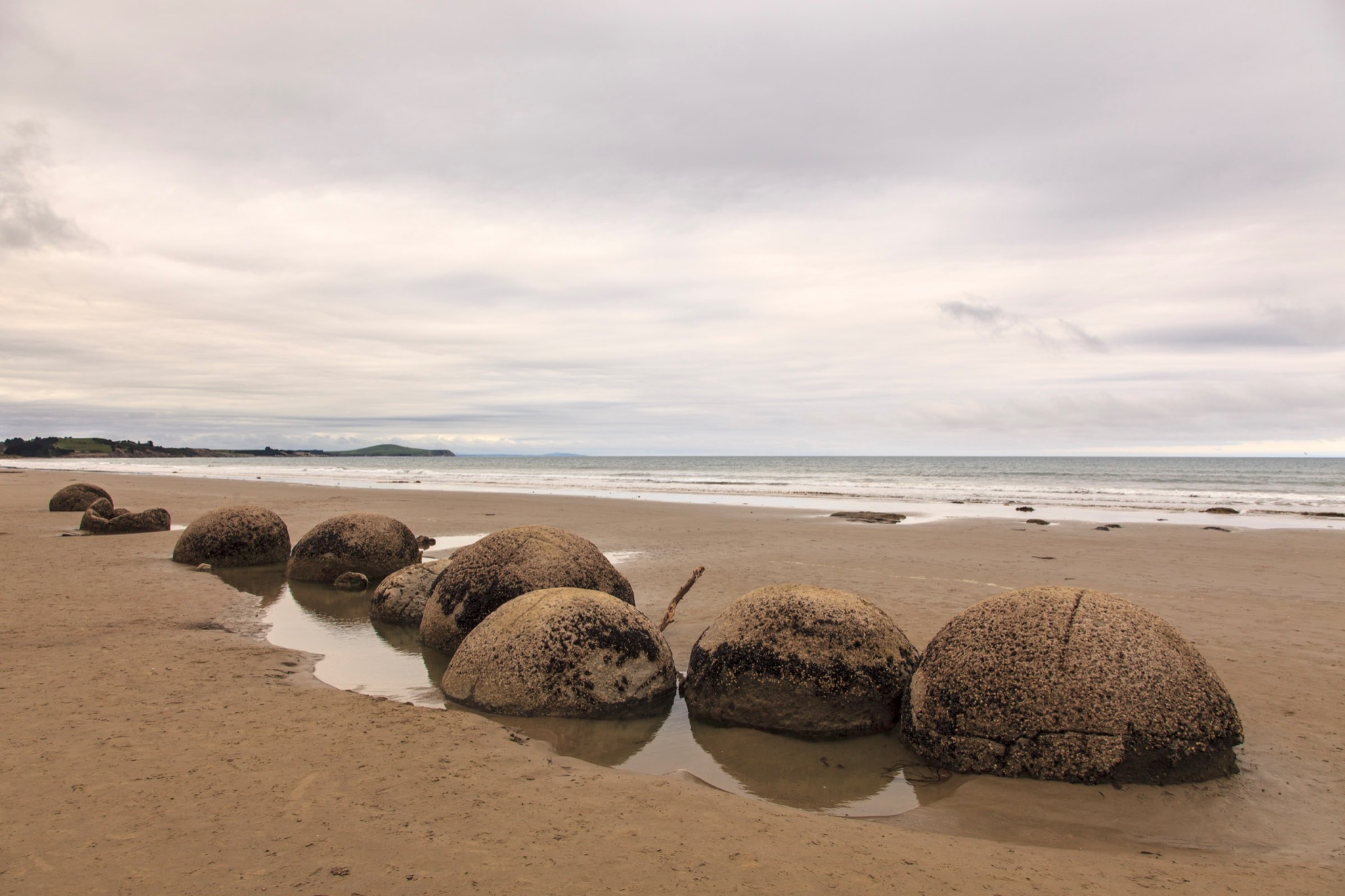 CF0207BB E62D 4B50 921E B2A55C2A8CA9