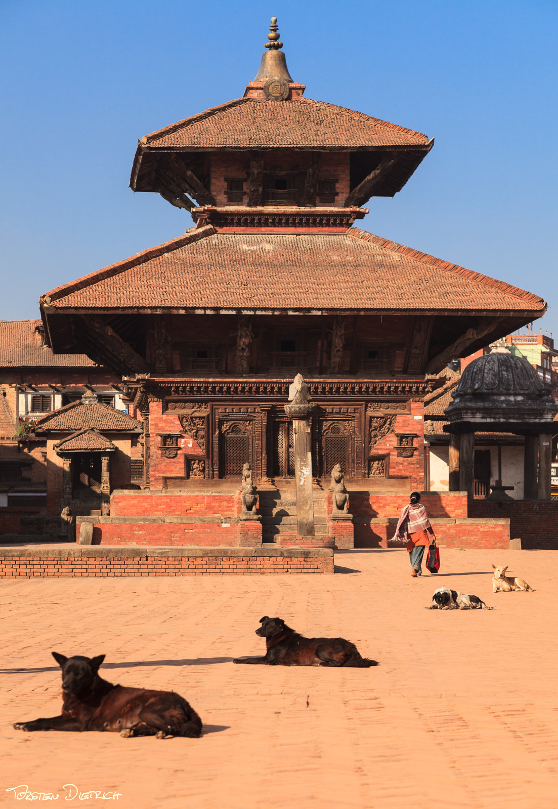 Dogs at Bhaktapur
