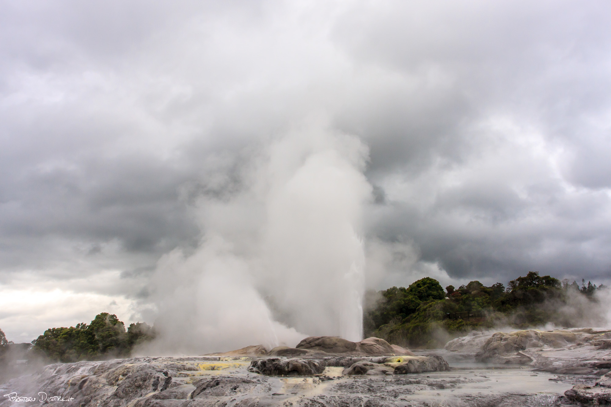 Pohutu Geyser